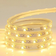 220V-5730-120D-10MM-D 