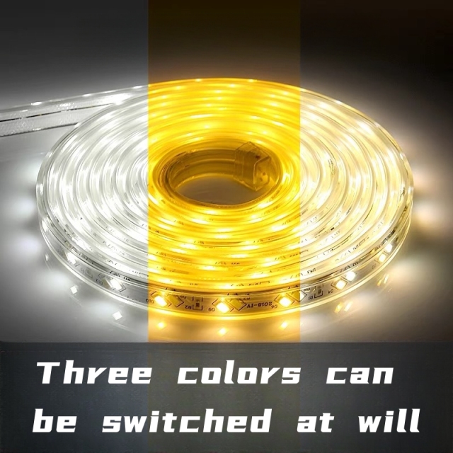 220V-5730-120D-10MM-D 