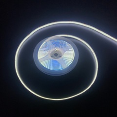 COB-24V-608D-10MM-90-JJ