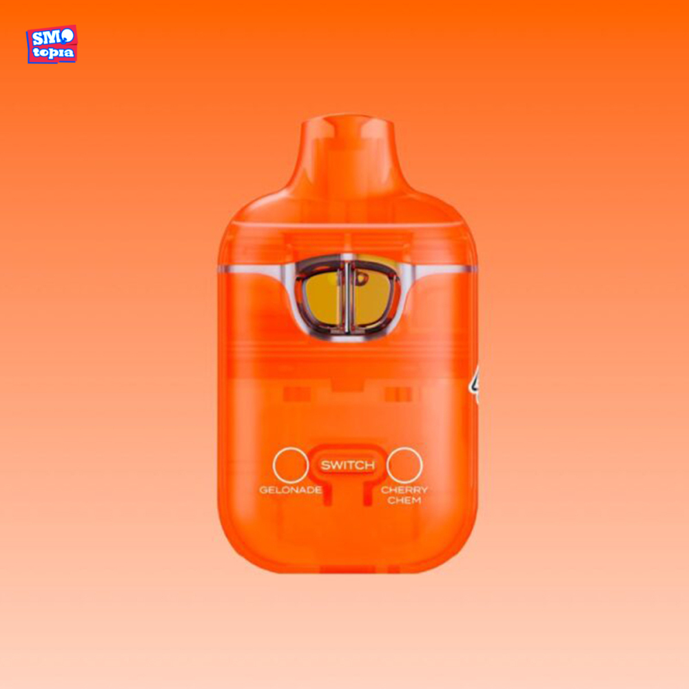 Boutiq Switch V3 2G Dual Flavor Disposable
