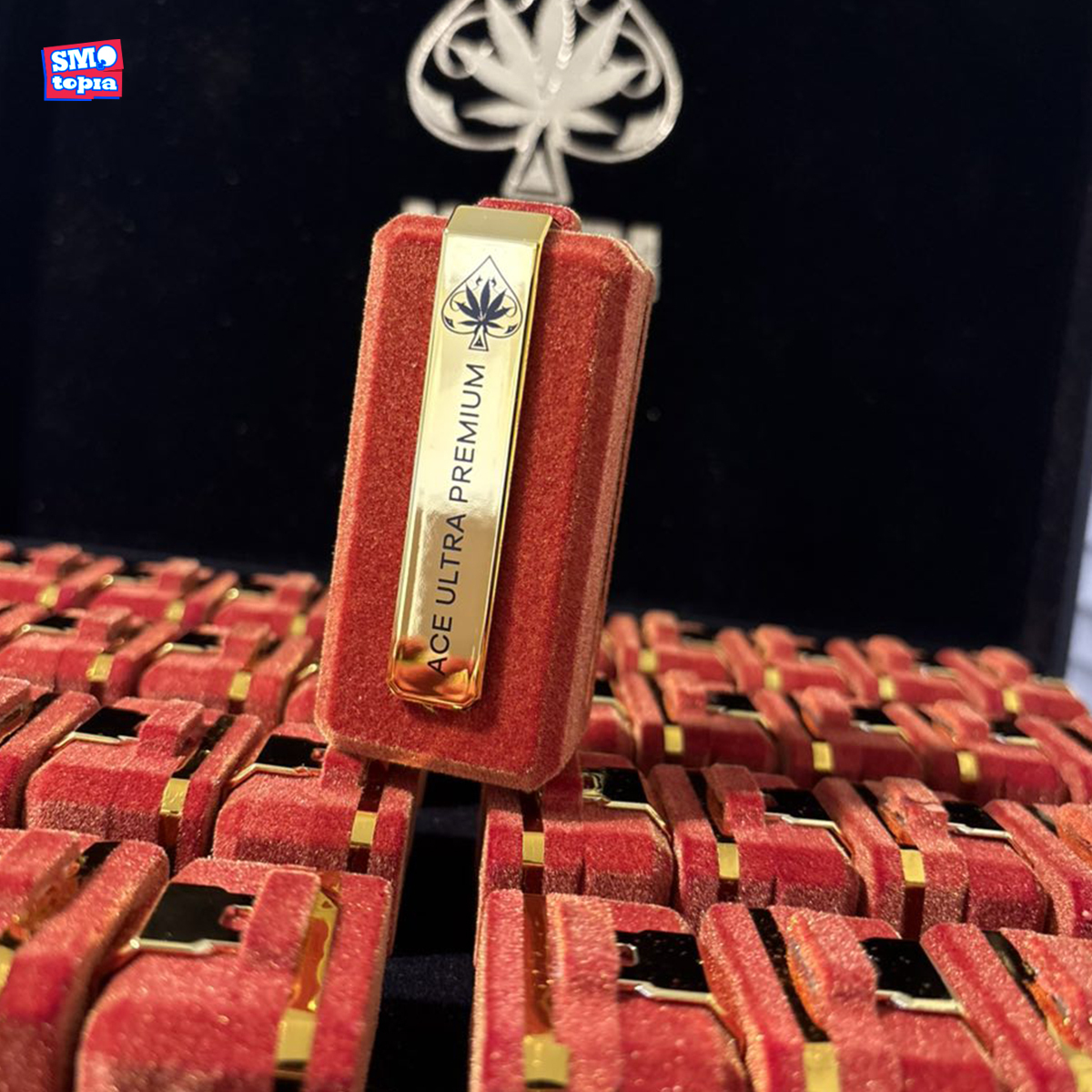 Ace Ultra Premium Summer Edition-The Black Badge Collection-2G Disposable
