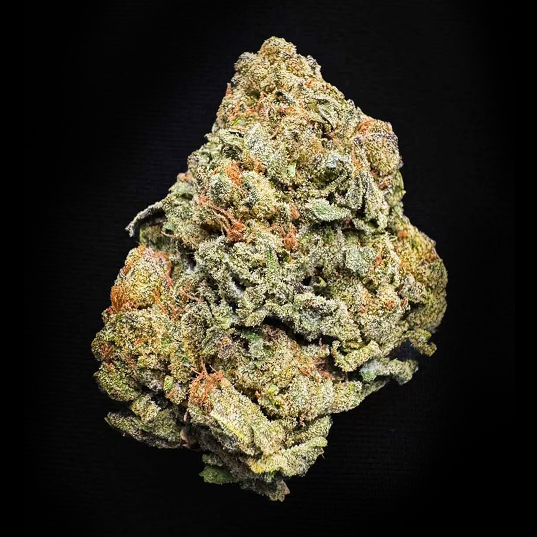 Gelato King