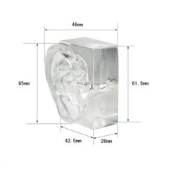 DEMONSTRATION EARS - CLEAR, HARD PLASTIC (PAIR)