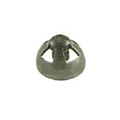 RESOUND DOMES - SUREFIT, OPEN, LARGE (10 / PK)