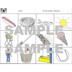 PICTURED SPONDEE WORDS CLASSIC DRAWING PICTURE CARD - COLOR, 11"L X 8.5"H