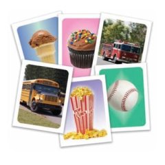 PICTORAL REPRESENTATIONS OF SPONDEES (1 SET OF 18 CARDS, COLOR)