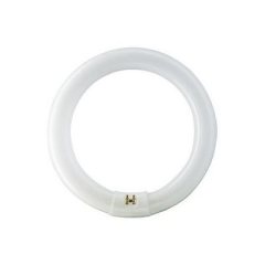 CIRCLINE 22W FLUORESCENT BULB - COOL WHITE