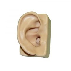 Silicone Ear Model (Right Ear)
