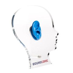 Acrylic Ear Display With Silicon Ears For Hearing Aid Ear Education Model