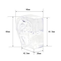 Acrylic Ear Model Demo – Ear Impression Taking Practicing Tool Hearing Aids Earphones Showcase Display Stand（One Pair）