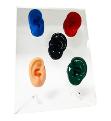 Five Ears Model Display