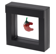 70x70 mm Presentation Display Frame