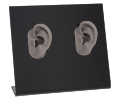 Acrylic Two Ear Model Display