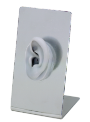 Metal Single Ear Model Display