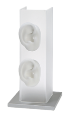 Ear Model Display for Two Ear