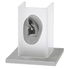 Ear Model Display for Single Ear