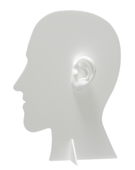 Ear Mould Presentation Head