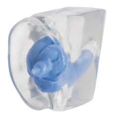 Transparent Practice Ear--Right