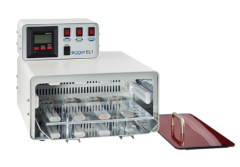 Light-Curing Unit-115V