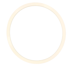 Sealing Ring for Pressure Pot Polymerization Pressure Pot