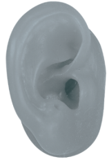 Right Grey Demo Ears