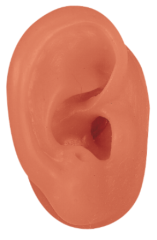 Right Beige Demo Ears