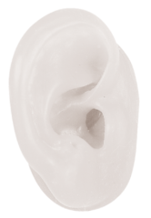 Right White Demo Ears