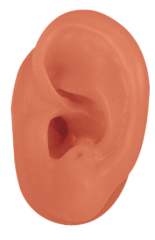 Left Beige Demo Ears
