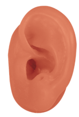 Left Beige Magic Ears