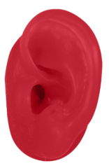 Left Ruby-red Magic Ears