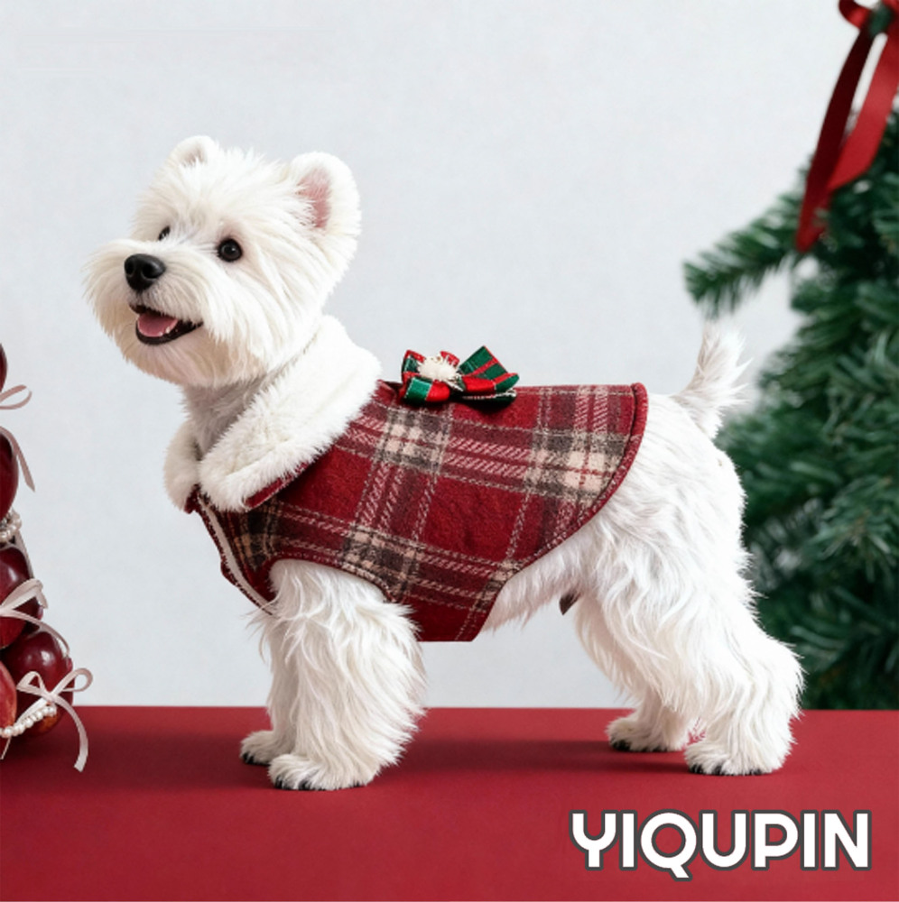 Dog Apparel for Christmas