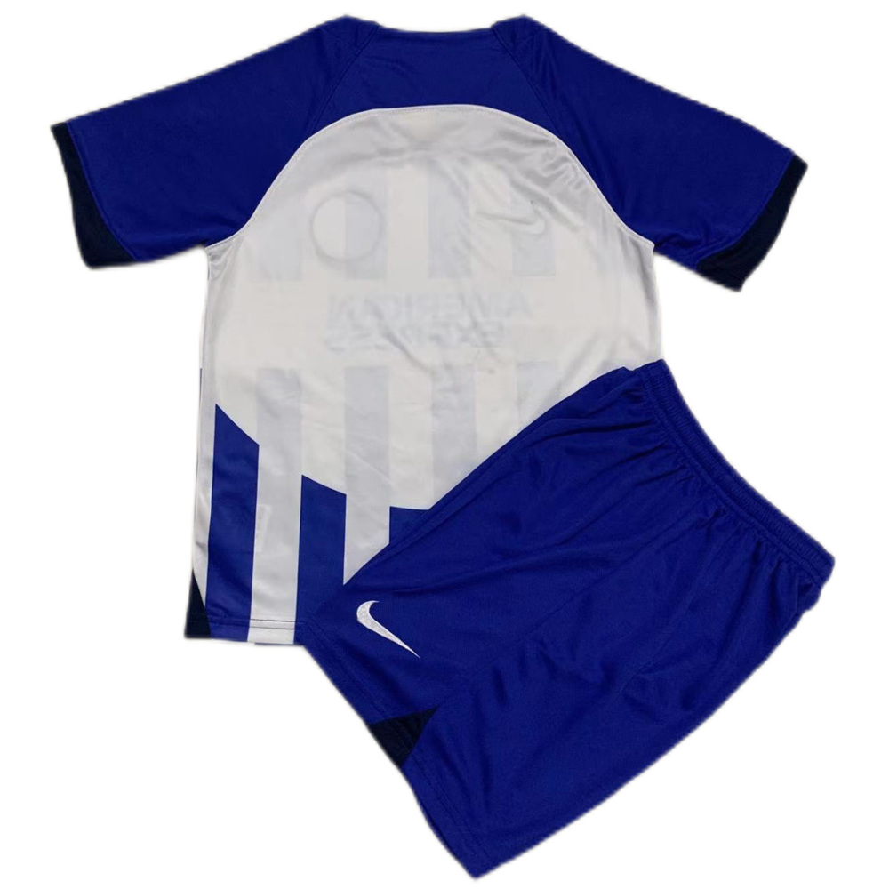 23-24 Brighton & Hove Albion Home Fan Version Jersey