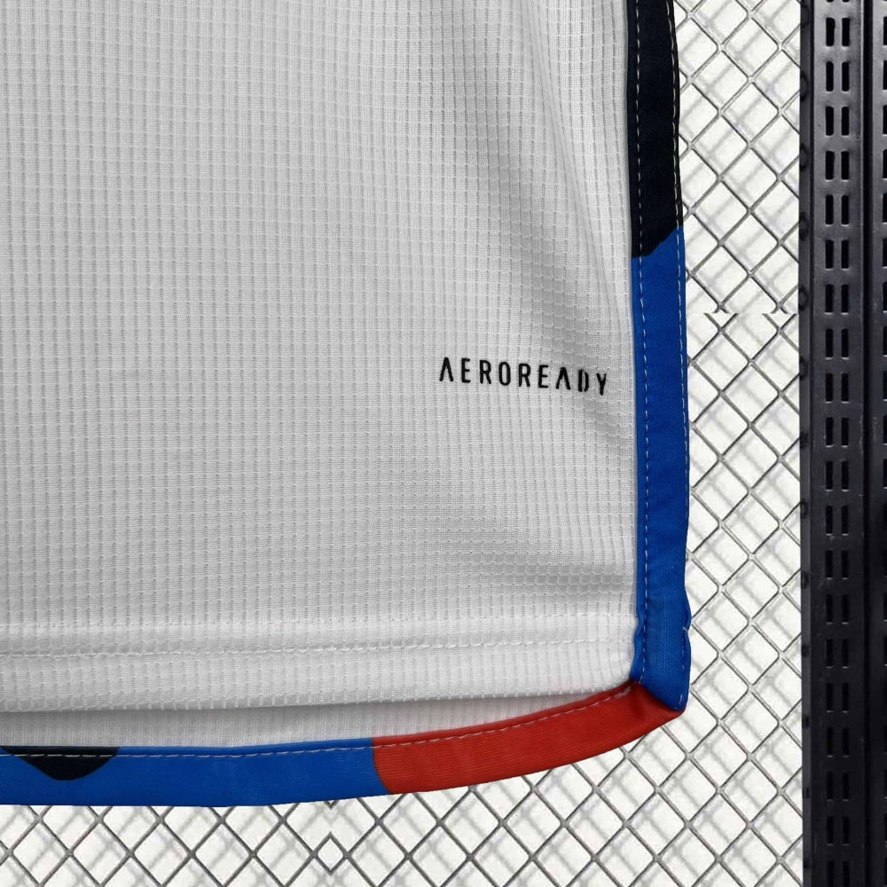 23-24 Benfica  Third Away Jersey Fan Version