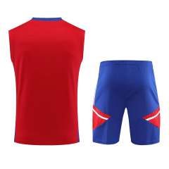Bayern Munich Sleeveless Training Kit Red 2023/24