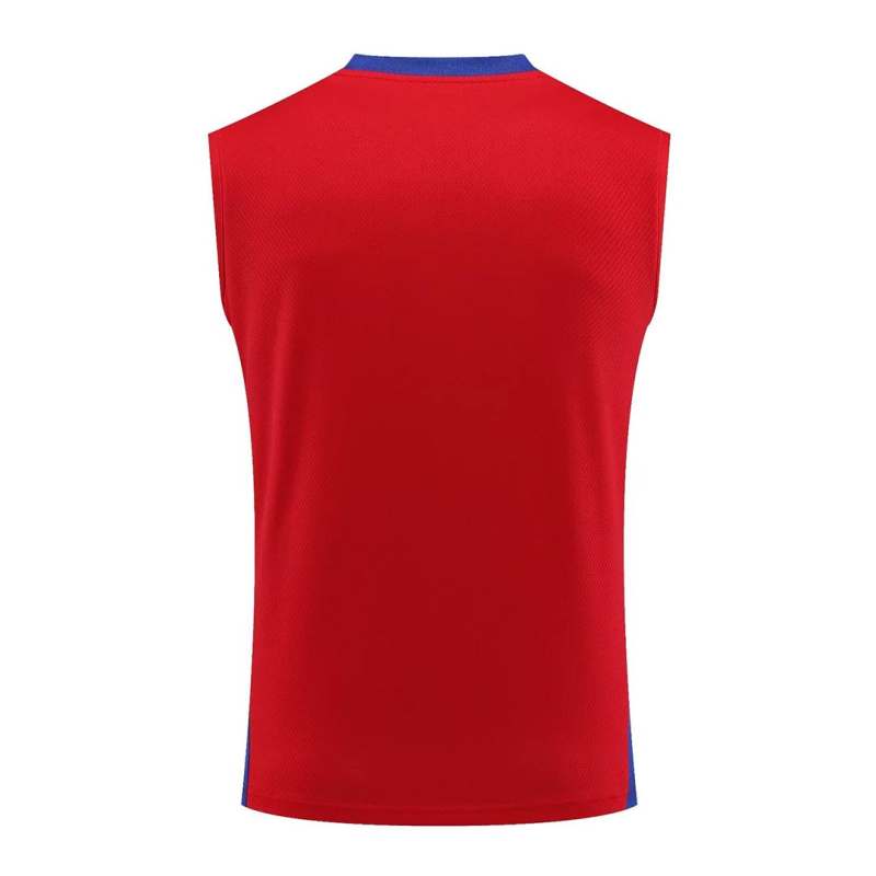 Bayern Munich Sleeveless Training Kit Red 2023/24