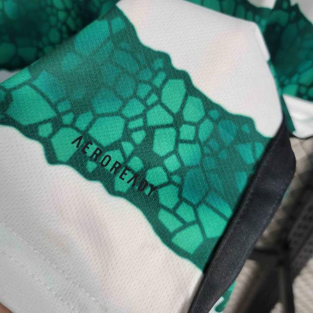 23-24 Celtic Home Soccer Jersey Fan Version