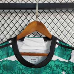 23-24 Celtic Home Soccer Jersey Fan Version