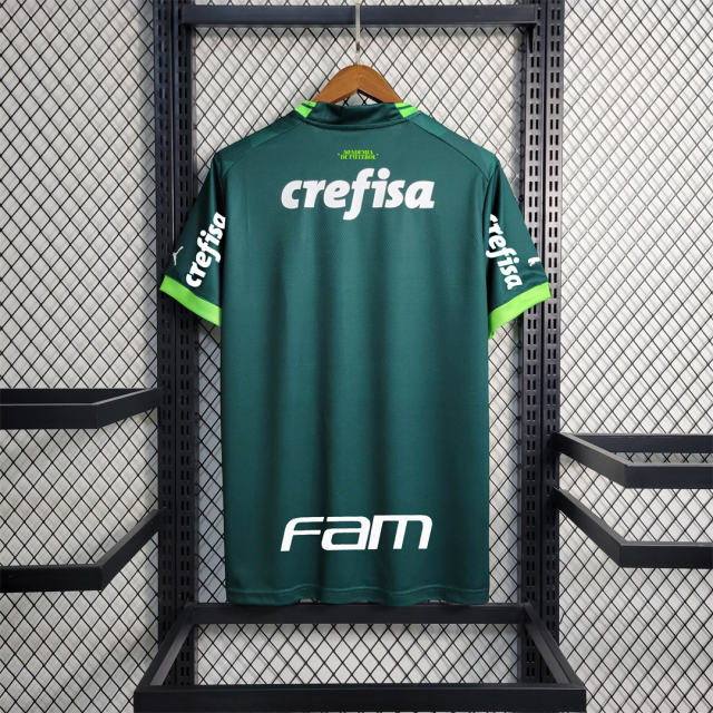 23-24 SE Palmeiras Home Jersey Fan Edition