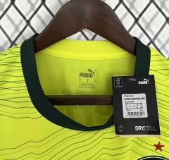 23-24 SE Palmeiras Third Away Jersey Fan Edition