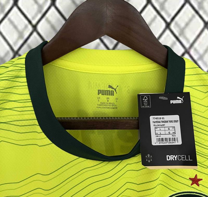 23-24 SE Palmeiras Third Away Jersey Fan Edition