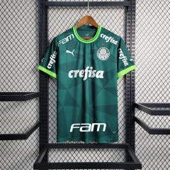 23-24 SE Palmeiras Home Jersey Fan Edition