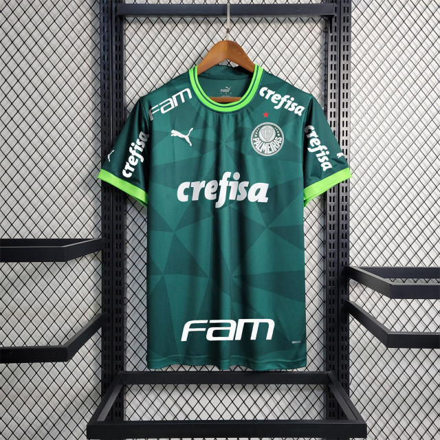 23-24 SE Palmeiras Home Jersey Fan Edition