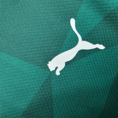 23-24 SE Palmeiras Home Jersey Fan Edition
