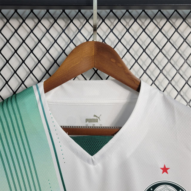 23-24 SE Palmeiras Away Jersey Fan Edition