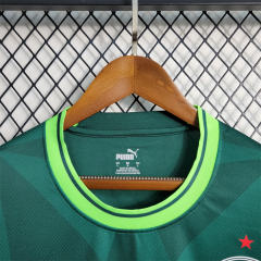 23-24 SE Palmeiras Home Jersey Fan Edition