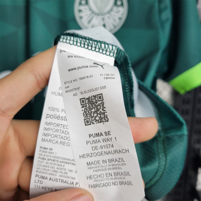 23-24 SE Palmeiras Home Jersey Fan Edition