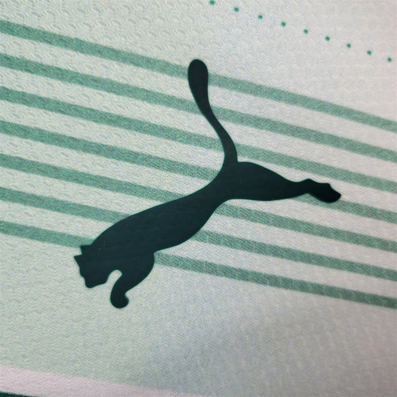 23-24 SE Palmeiras Away Jersey Fan Edition