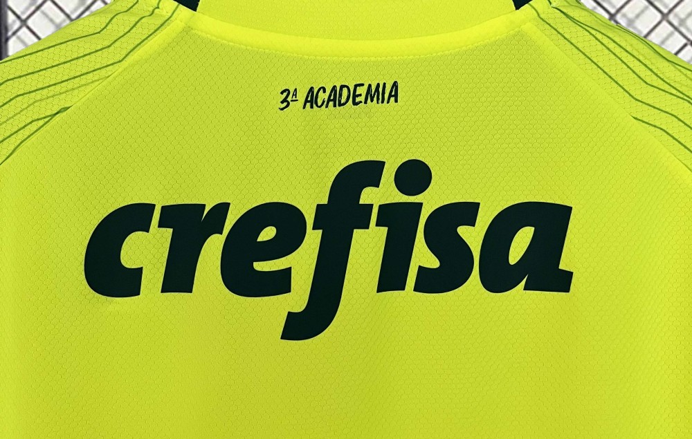 23-24 SE Palmeiras Third Away Jersey Fan Edition