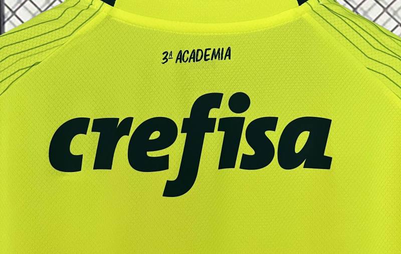 23-24 SE Palmeiras Third Away Jersey Fan Edition