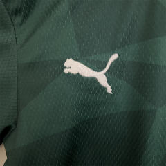 23-24 SE Palmeiras Home Kids Kit Jersey+Shorts